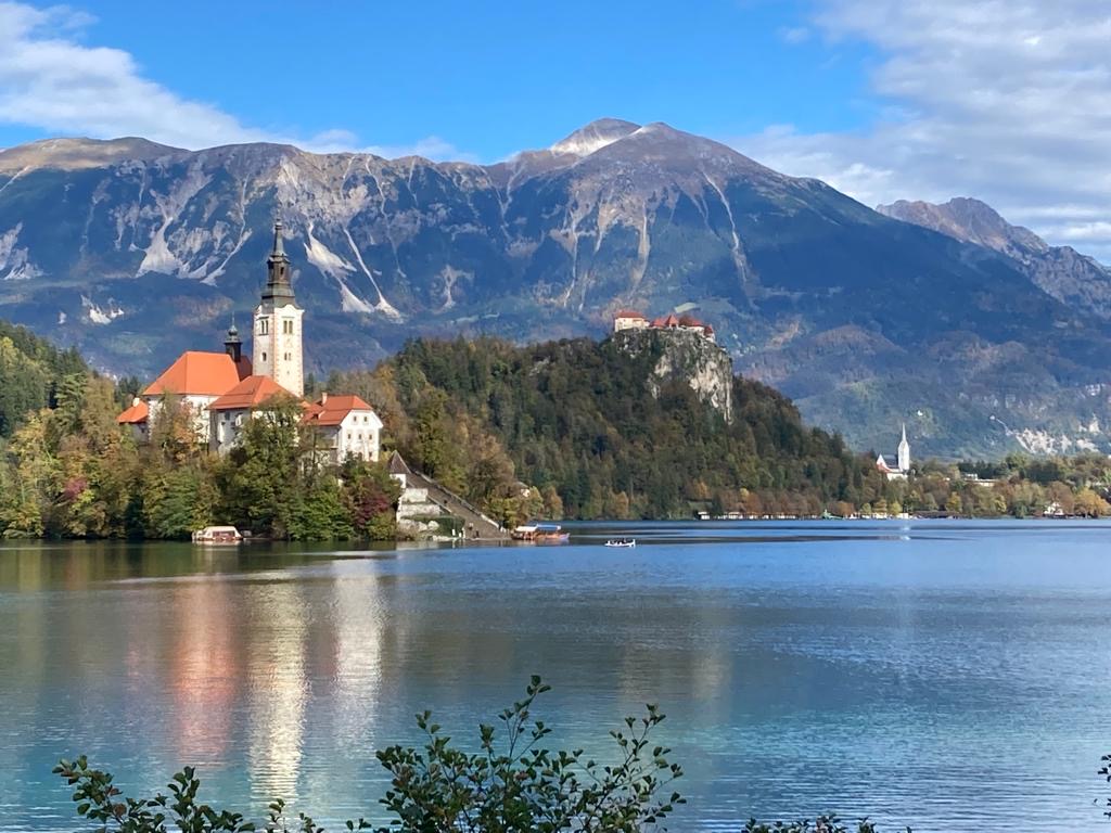 Autumn Cathedral